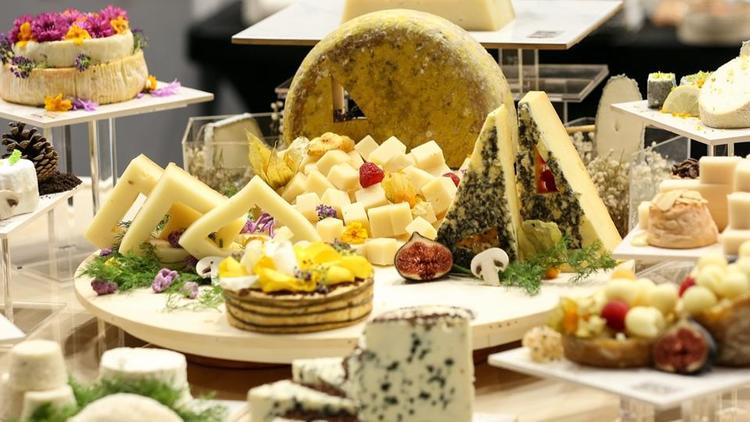 Quels sont les différents types de fromages ?