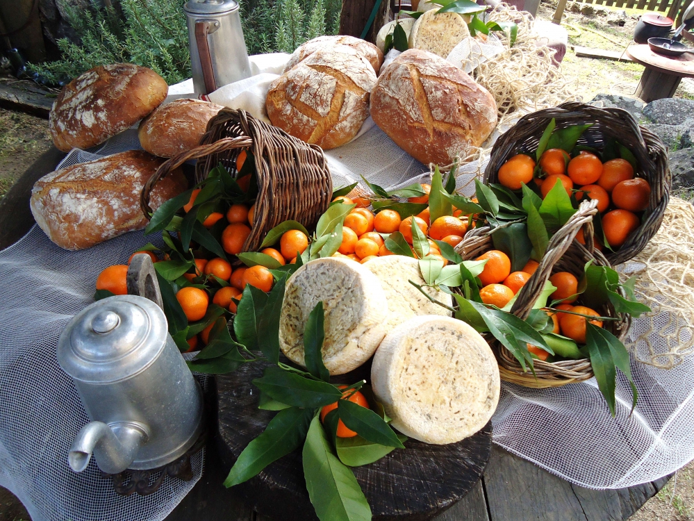Découverte gastronomique de la Corse